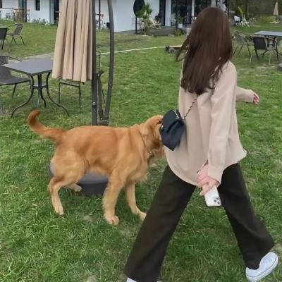 走进八里堡